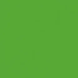 Green Screen - €55